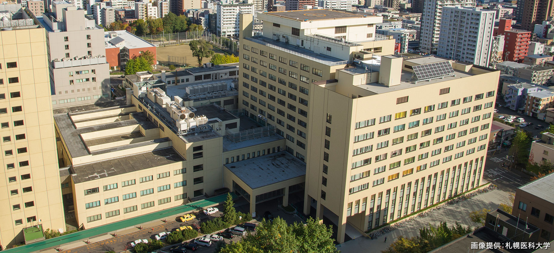 札幌 医科 大学 合格 発表
